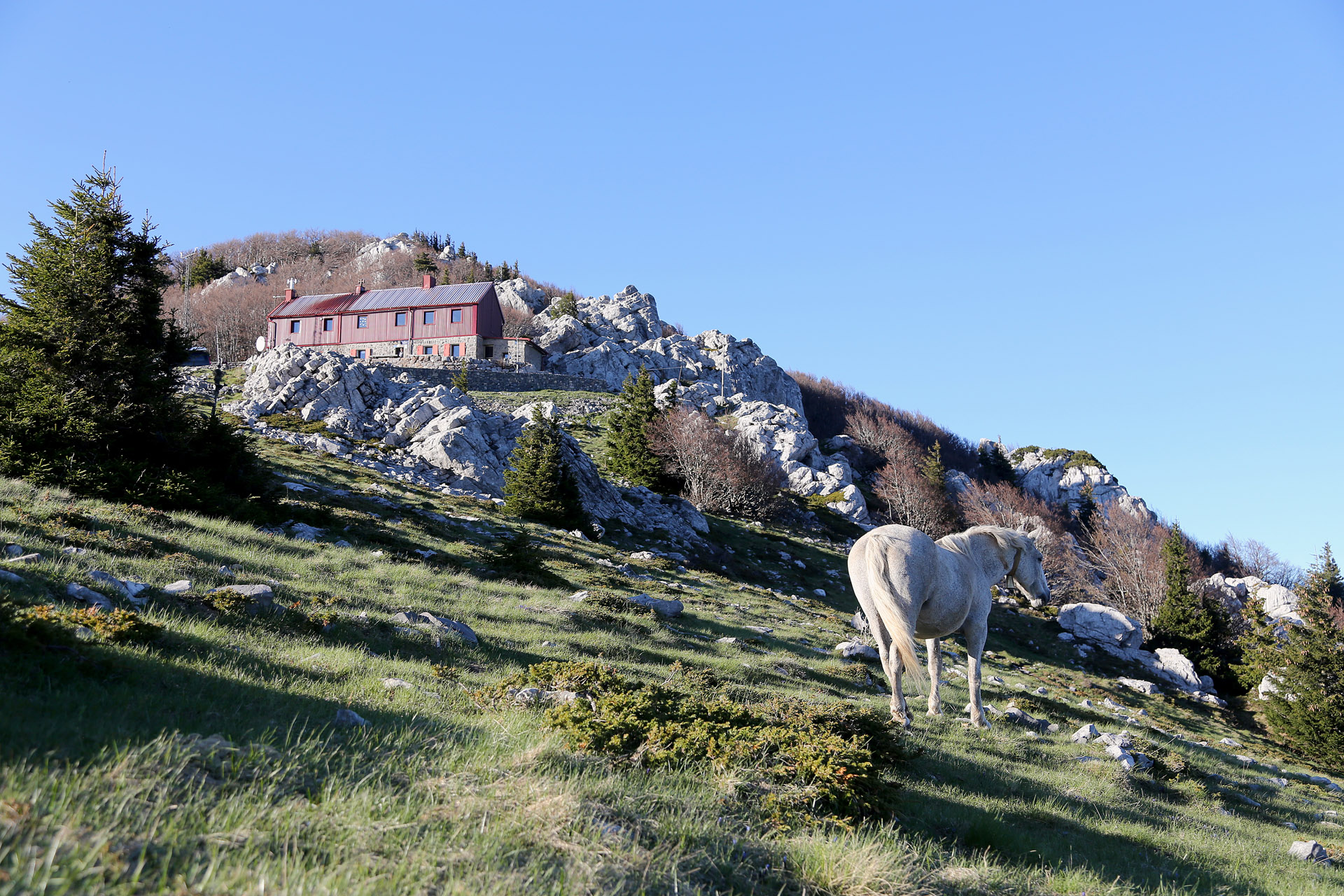 Treking po divjem Velebitu v ozadju koča Zavižan.