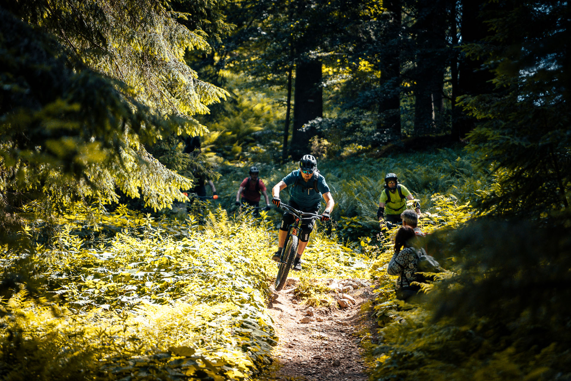 Guided mountain biking tours and bike rental Kofler Sport