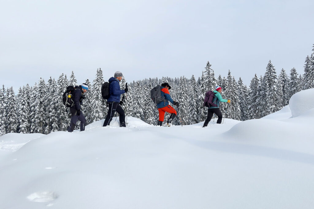 Snowshoeing in Julian Alps and Kranjska Gora