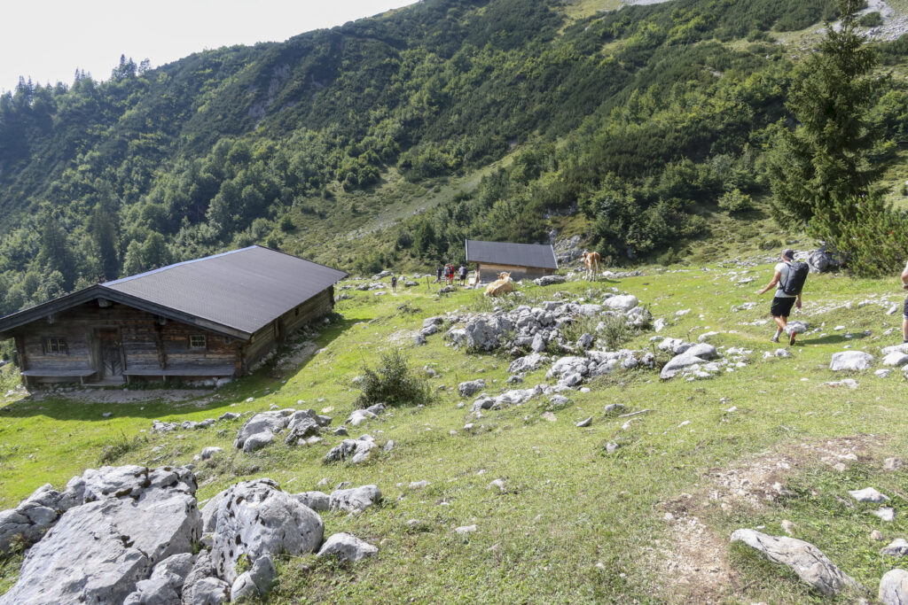 Večdneni potep v deželi Wilder Kaiser in Gorskega zdravnika