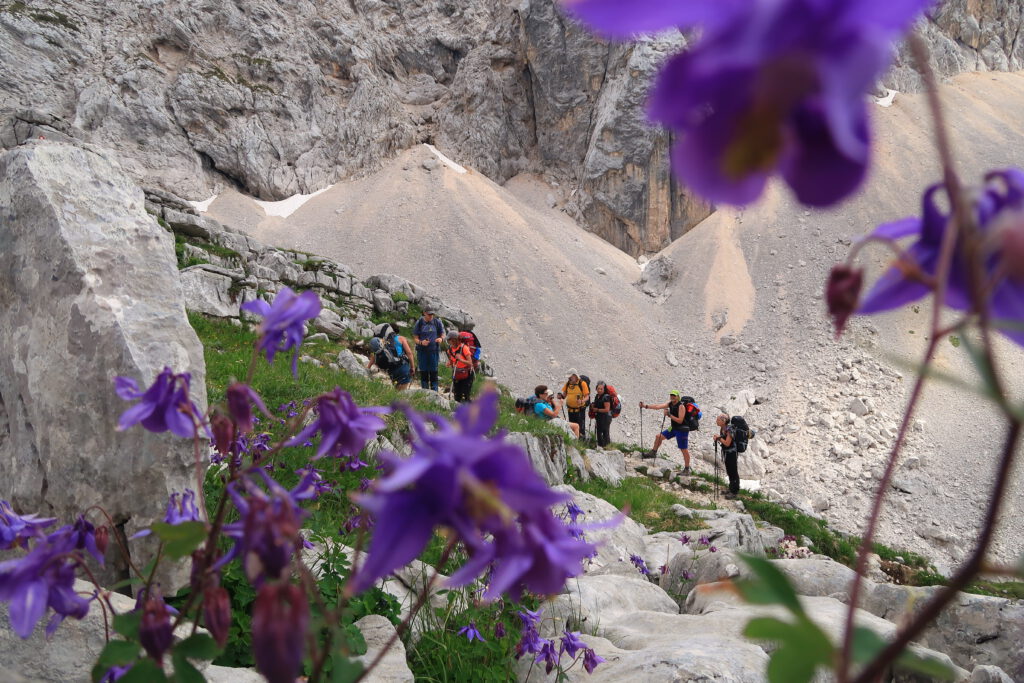 Prečudovit štiridnevni pohodniški trekingu po Julijskih Alpah