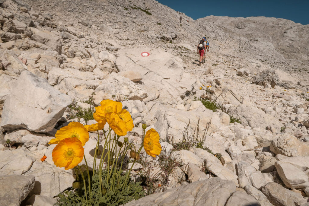 Hike the 7 lakest traverse and ascent Triglav in three days