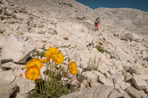 Trekking trough the seven lakes valley