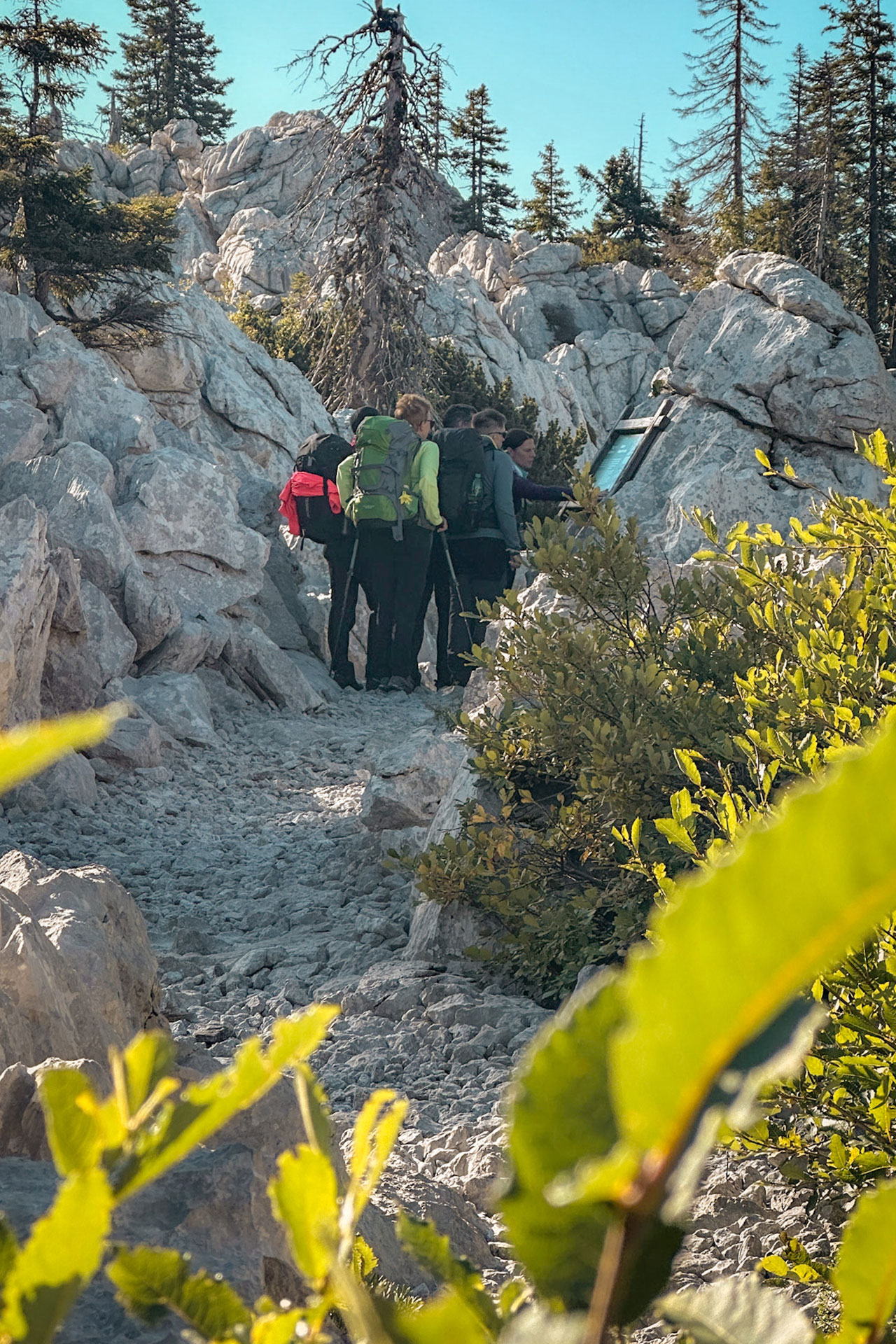 Poučni treking po Velebitu