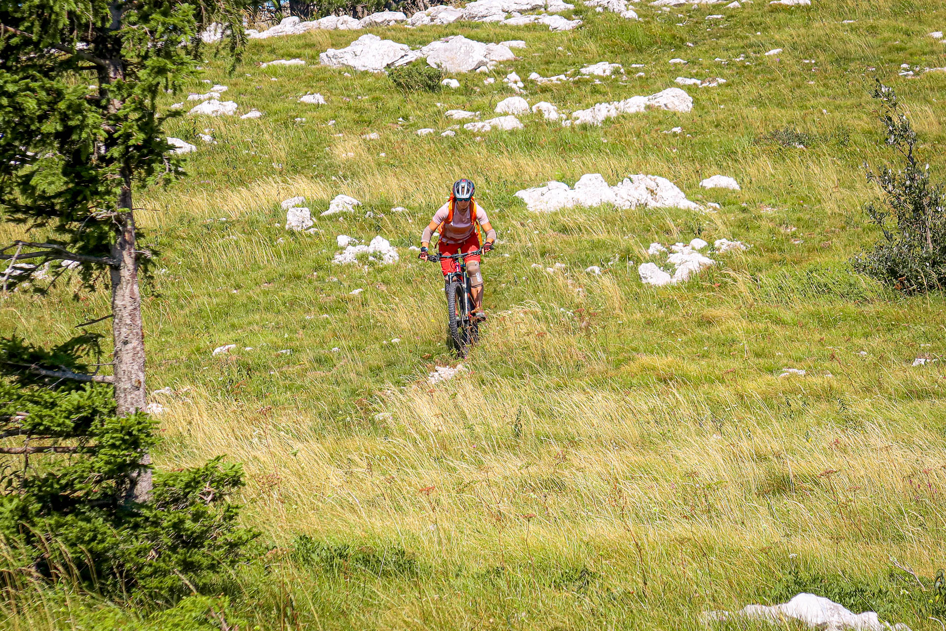Mtb tours above Iirska Bistrica at Črne njive mtb park