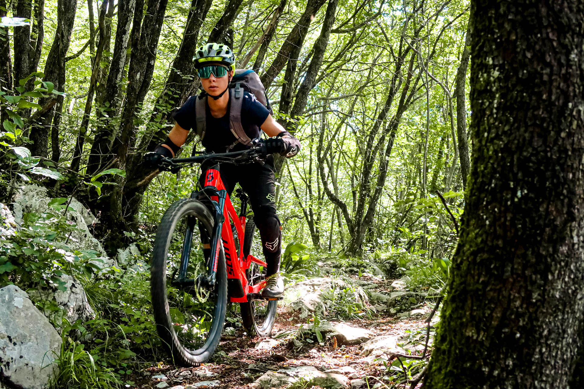 Shuttle day: MTB paradise at Črne Njive bike park