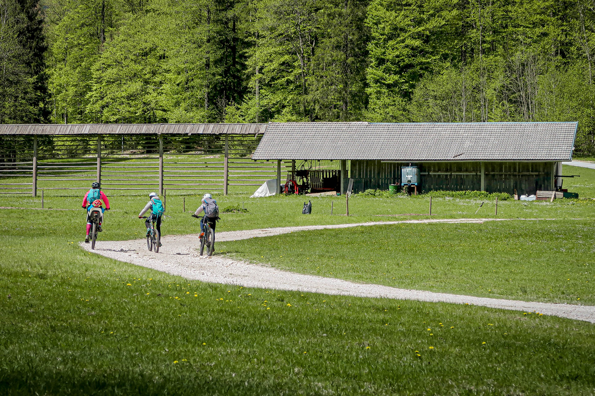 A beautiful MTB tour with a climb to Talež and a jump in lake Bohinj