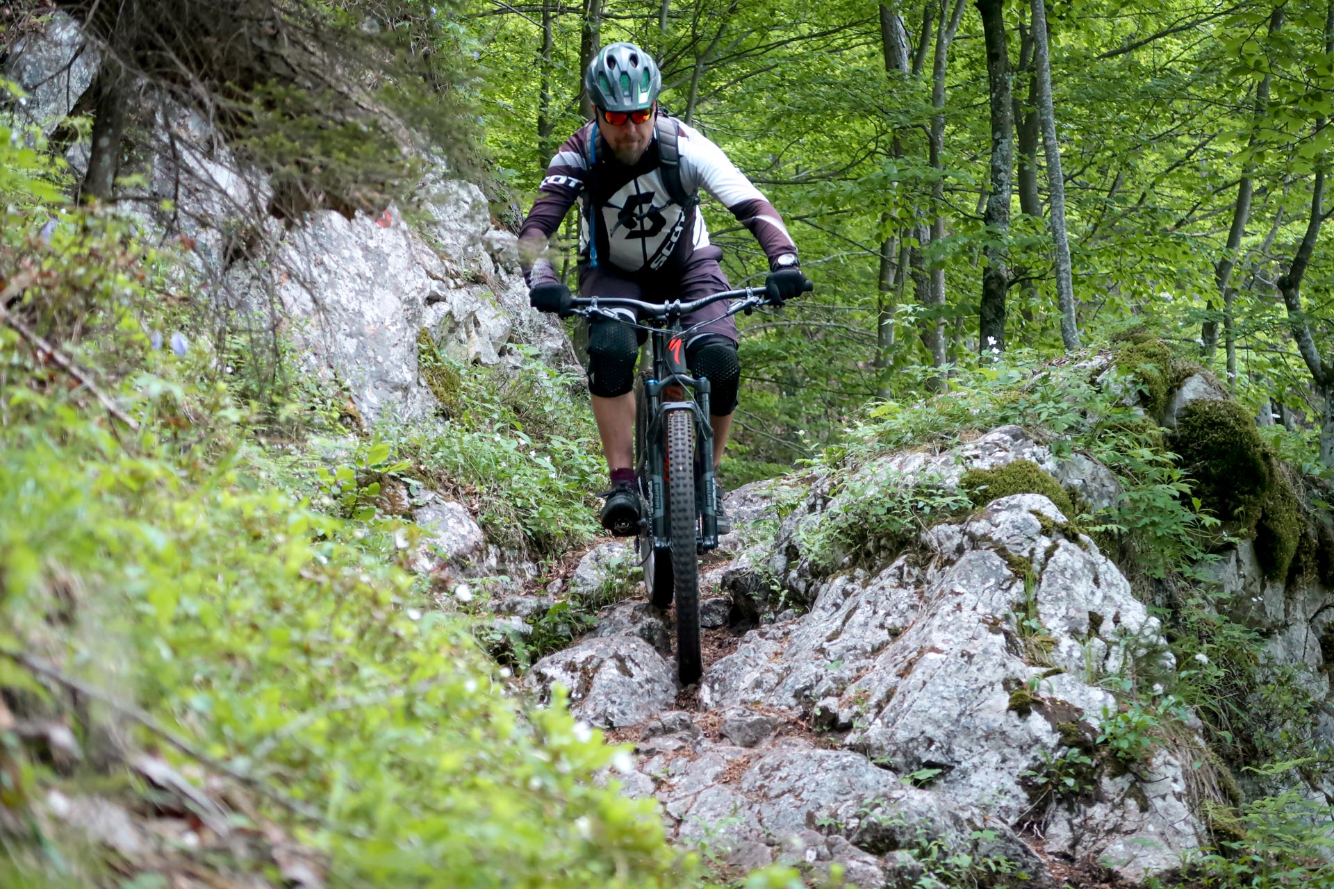 Moderate mtb guided tour in Karawansk above Kranjska Gora