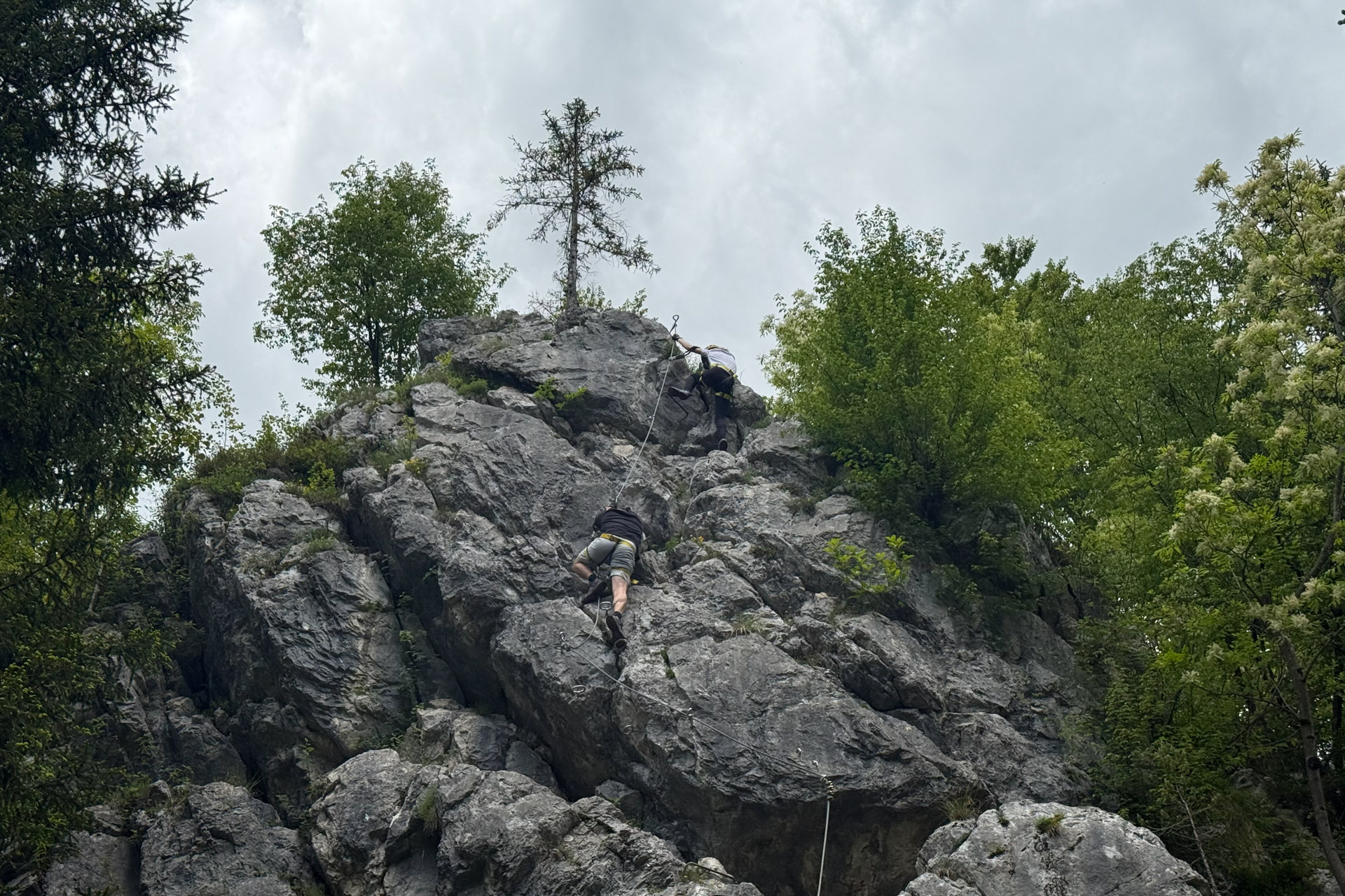 Beginner’s course of safe movement in via ferratas in Mojstrana
